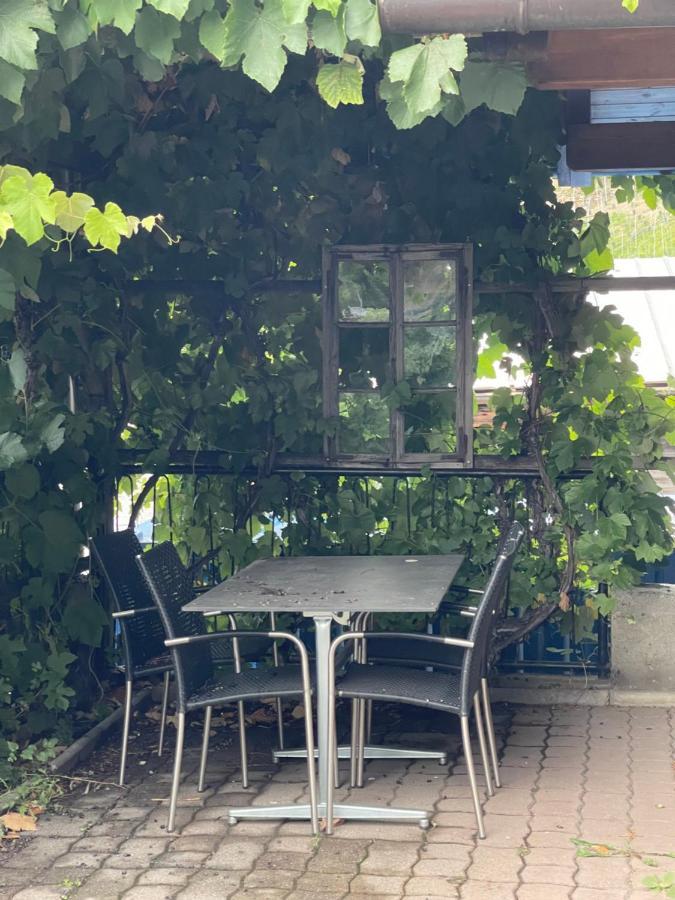 Check-In 24-7 Ohne Fruehstueck Gratis Parkplatz Hotel Ausserberg Exterior photo